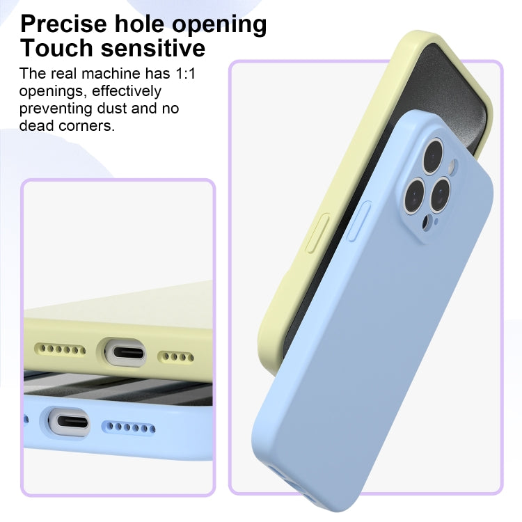 For iPhone 16 Pro Max Precise Hole Liquid Silicone Jelly Color Full Coverage Phone Case(Mint Green) - iPhone 16 Pro Max Cases by buy2fix | Online Shopping UK | buy2fix