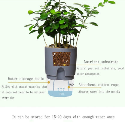 Transparent Plastic Double-Layer Water Storage Automatic Water-Absorbing Flowerpot, Size: A709 Caliber 23.5cm(White Transparent Basin) - Flower Pots & Planters by buy2fix | Online Shopping UK | buy2fix