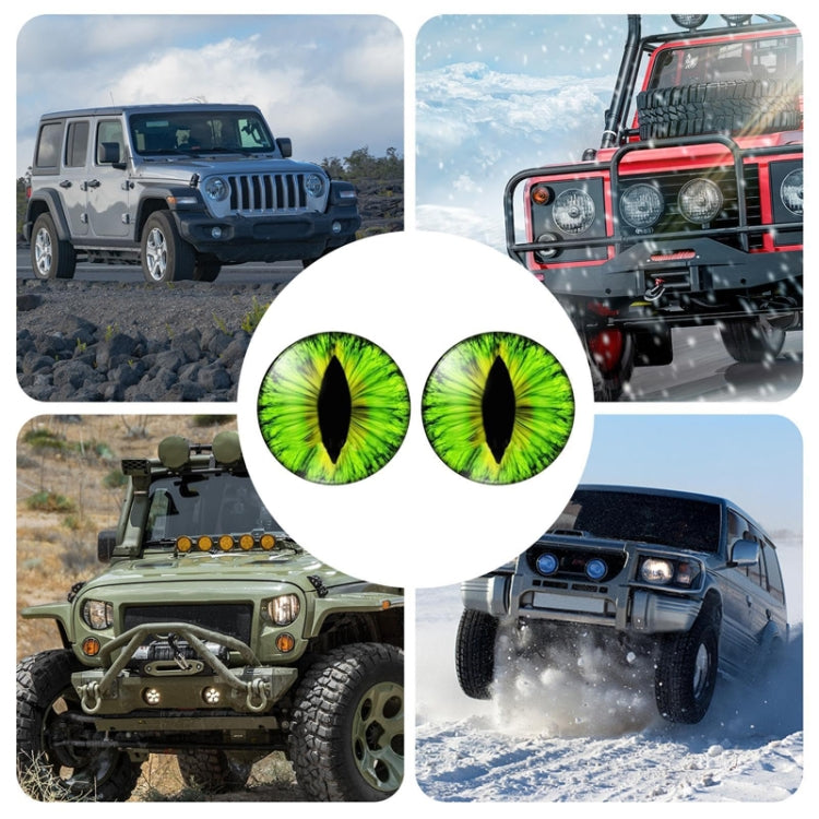 1pair Beast Eyes Headlight Decorative Stickers Off-Road Vehicle Front Lights Stereo Decals, Style: 25 - Lamp Decoration by buy2fix | Online Shopping UK | buy2fix