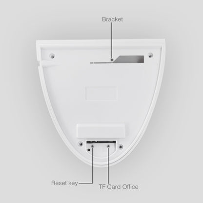 DP16 2.0 Megapixel 42 LEDs Garden Light Smart Camera, Support Motion Detection / Night Vision / Voice Intercom / TF Card, EU Plug - Security by buy2fix | Online Shopping UK | buy2fix