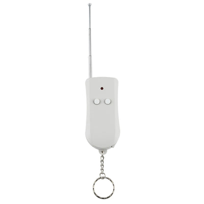 110V Indoor Wireless Smart Remote Control Switch with Single Keychain Transmitter, CN Plug - Smart Switch by buy2fix | Online Shopping UK | buy2fix