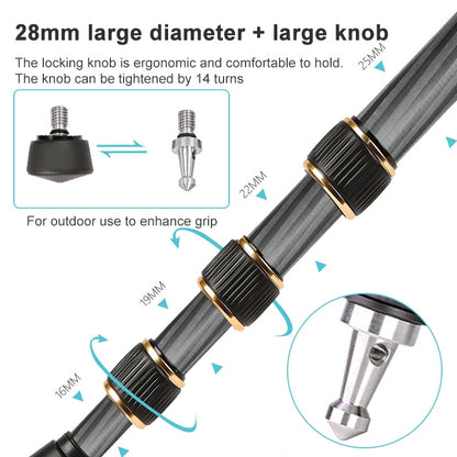 TRIOPO 853 Adjustable Portable Carbon Fiber Tripod with D2-A Ball Head for SLR Camera - Camera Accessories by TRIOPO | Online Shopping UK | buy2fix