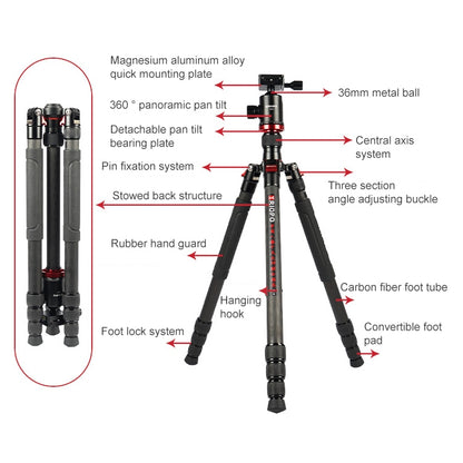 TRIOPO 888 Adjustable Portable Carbon Fiber Tripod with Q-2 Ball Head for SLR Camera, Pipe diameter: 28cm - Tripods by TRIOPO | Online Shopping UK | buy2fix