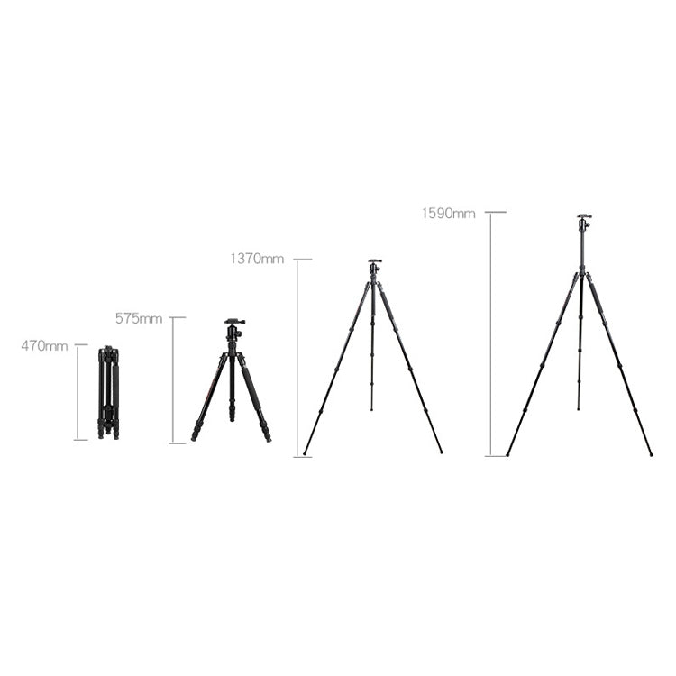 TRIOPO Oubao TA300 Adjustable Portable Aluminum Alloy Tripod with Ball Head for SLR Camera - Tripods by TRIOPO | Online Shopping UK | buy2fix