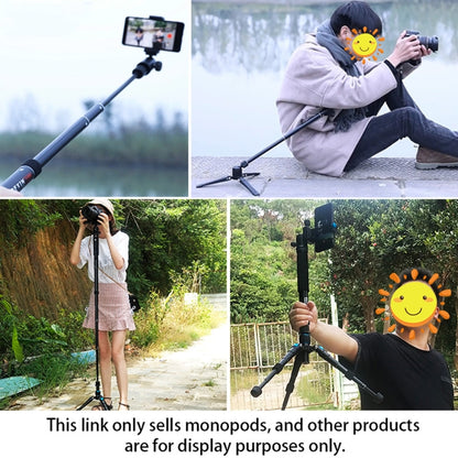 BEXIN P308B Portable Travel Outdoor DSLR Camera Aluminum Alloy Monopod Holder (Black) - Camera Accessories by BEXIN | Online Shopping UK | buy2fix