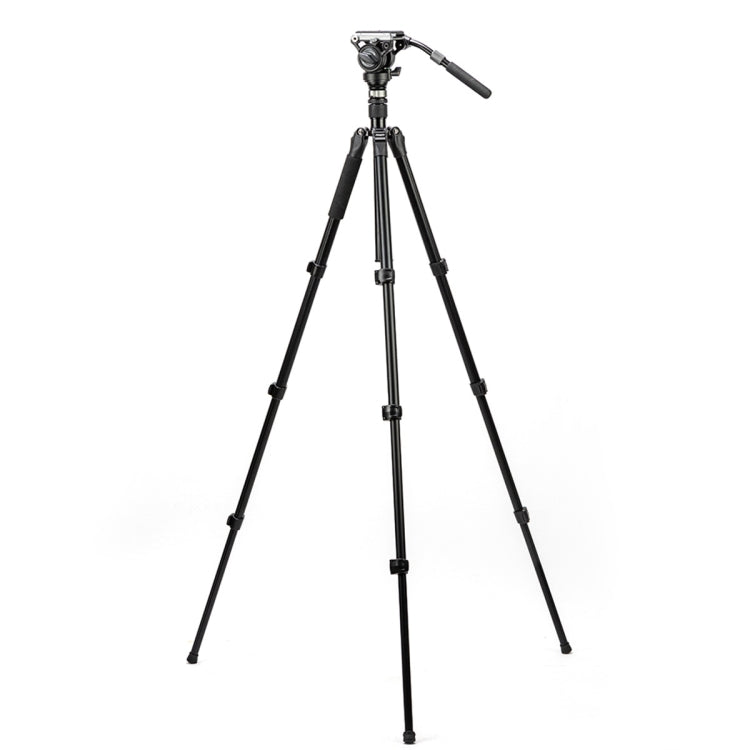 Fotopro S5i Pro 4-Section Tripod Mount with Fluid Drag Head & Head Base (Black) - Camera Accessories by Fotopro | Online Shopping UK | buy2fix