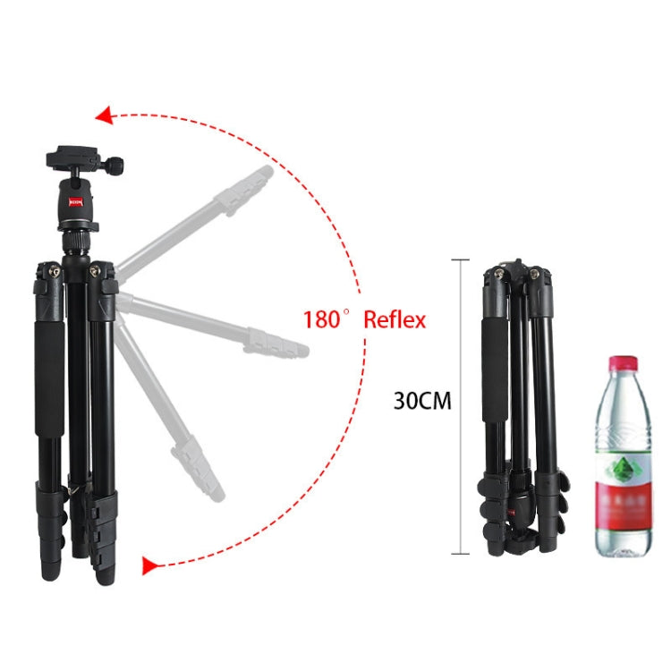 Bexin MS11 Portable Flexible Photographic Tripods for Smart Phone DSLR Slr Camera Camcorder DV - Camera Accessories by BEXIN | Online Shopping UK | buy2fix