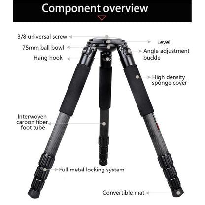 BEXIN ST424C Rugged Camcorder Photographic Carbon Fiber Big Tripod, Max Tube: 40mm - Tripods by BEXIN | Online Shopping UK | buy2fix