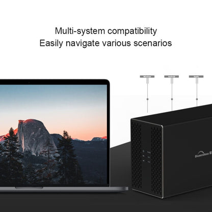 Blueendless Type-C / USB-C Interface 3.5 inch 2 Bay RAID Combination Array HDD External Enclosure (US Plug) - HDD Enclosure by Blueendless | Online Shopping UK | buy2fix