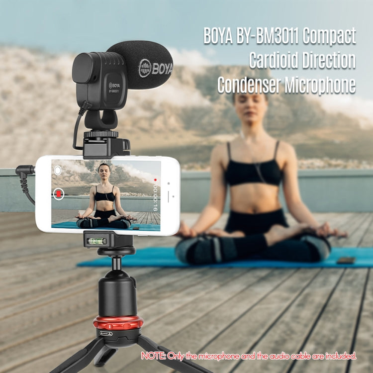 BOYA Portable Mini Condenser Live Show Video Recording Microphone for DSLR / Smart Phones - Camera Microphone by BOYA | Online Shopping UK | buy2fix