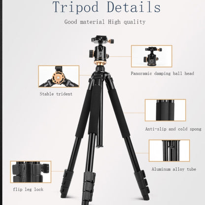 Q338 4-Section Folding Legs Live Broadcast Aluminum Alloy Tripod Mount With Three-dimensional Head - Camera Accessories by buy2fix | Online Shopping UK | buy2fix