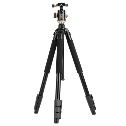 Q338 4-Section Folding Legs Live Broadcast Aluminum Alloy Tripod Mount With Ball Head - Camera Accessories by buy2fix | Online Shopping UK | buy2fix