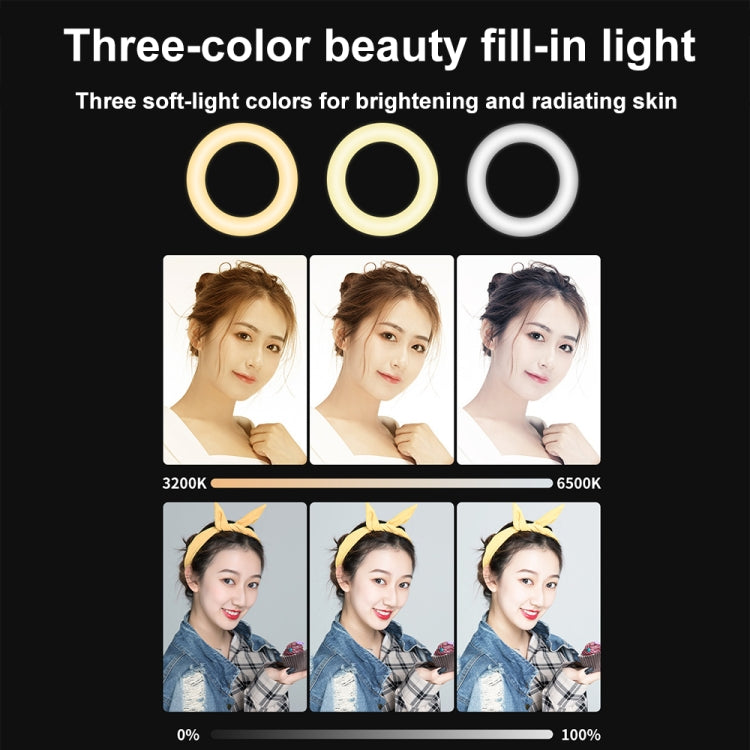 YRing48 4-Inch 48LEDs Laptop Camera Video Conference Live Beauty Ring Fill Light, Spec: Clip Set - Selfie Light by buy2fix | Online Shopping UK | buy2fix